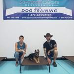 Advanced Canine Development - photo 2