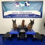 Advanced Canine Development - photo 3