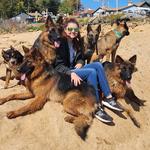 Advanced Canine Development - photo 4