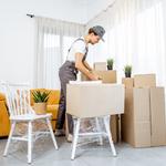 Ormond Beach Movers - photo 4