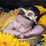 Sumeyra Kose Photography - photo 1