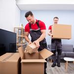 All Included Movers - photo 1