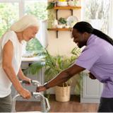DavidStar Home Care Services – Weston - Home & Garden in Weston