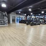 Ryderwear Gym & Retail Alberton - photo 2