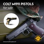 Arm Safe Supply - photo 5