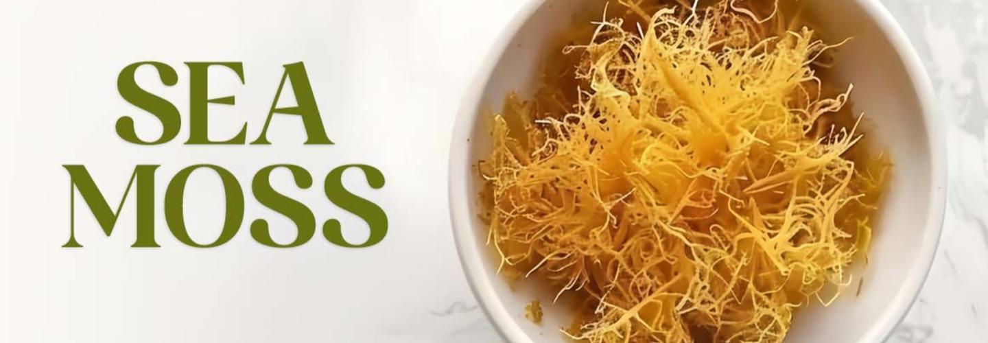 The Sea Moss Supplier (MELO) cover photo