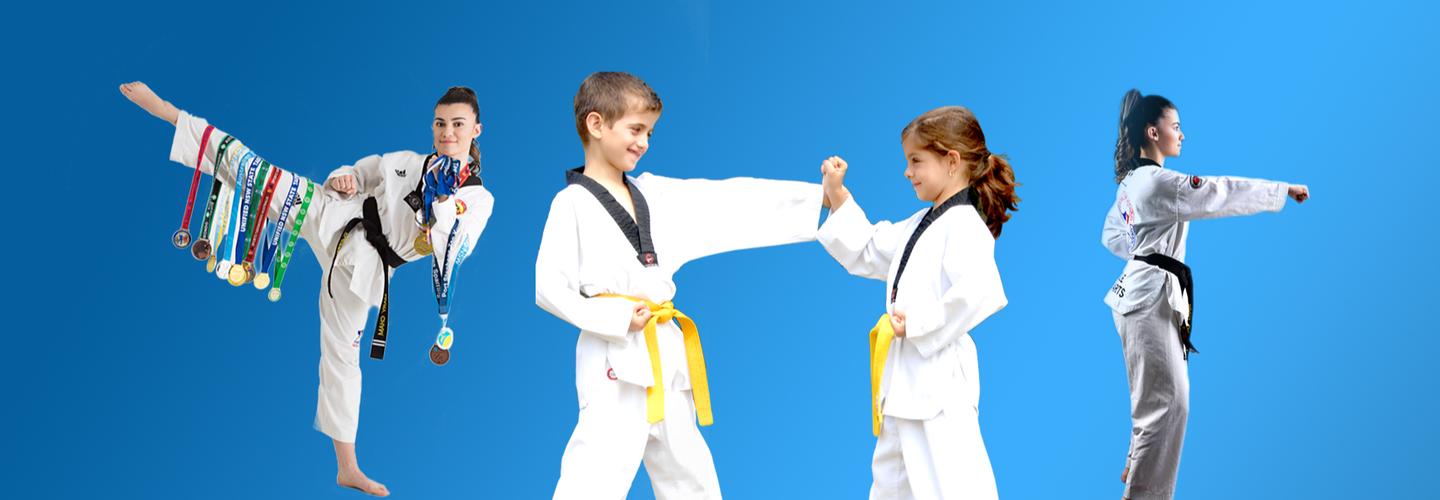 Pinnacle Martial Arts cover photo