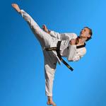 Pinnacle Martial Arts - photo 2