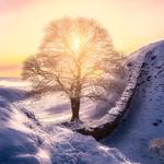 Landscape Photography Northumberland  - photo 1