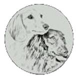 Honeyman's Miniature Dachshunds - Water Heater Installation/Repair in Troy