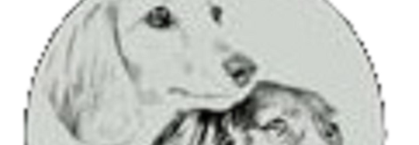 Honeyman's Miniature Dachshunds cover photo