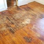 Bravo Restoration & Construction - photo 1