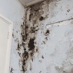 Bravo Restoration & Construction - photo 3