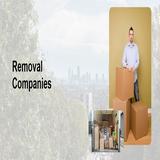 Removal Companies - Waste Removal Services & Management in Woodford