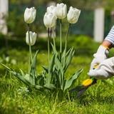 Businesses Web Designer Sunrise - Graphic Design in Sunrise