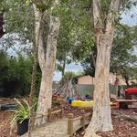 Cressy Road - photo 5