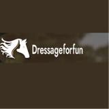 Dressage For Fun LLC - Professional Services in Loxahatchee