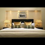 Superior Decorating Ltd - photo 6