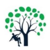 G & C Tree Services LLC - Tree Services in Huntsville