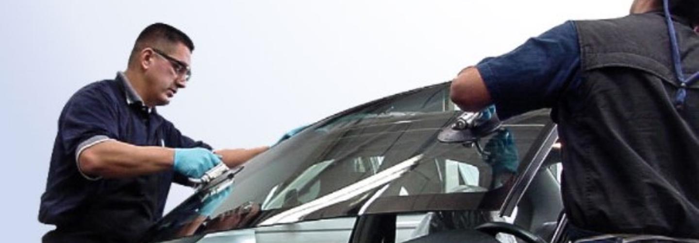 Sprout Auto Glass cover photo