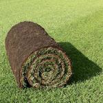 Berkshire Turf - photo 1