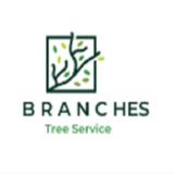 Branches Tree Service  Denistone - Tree Services in West Ryde
