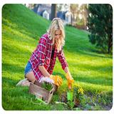 Mary Turner - Landscape Architects in Bath
