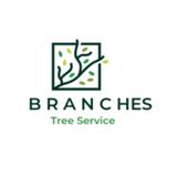 Branches Tree Service Marsfield - Tree Services in Marsfield