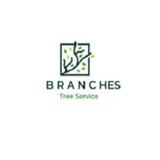 Branches Tree Service Gladesville - Tree Services in Gladesville