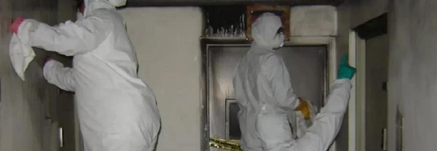 A1 Restoration cover photo