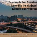 Shine Coating - photo 7