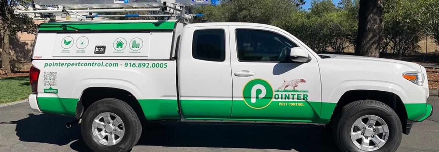 Pointer Pest Control cover photo