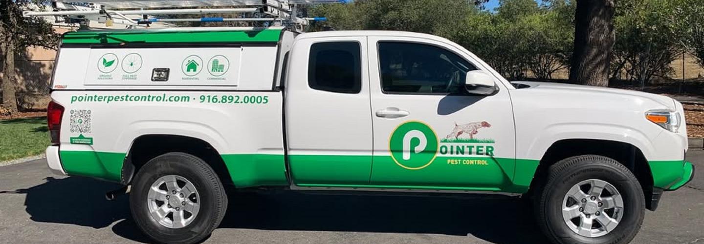 Pointer Pest Control cover photo