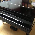 Piano-S - photo 5