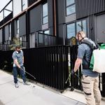 Pest Control Sydney | Tom's Pest Control - photo 1