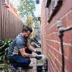 Pest Control Sydney | Tom's Pest Control - photo 2