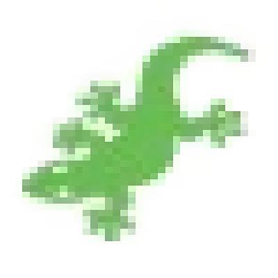 Pest Control Solutions & Services - Pest Control