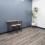 Suite 204 & 208 Leezaspace - photo 2