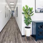 Suite 204 & 208 Leezaspace - photo 3