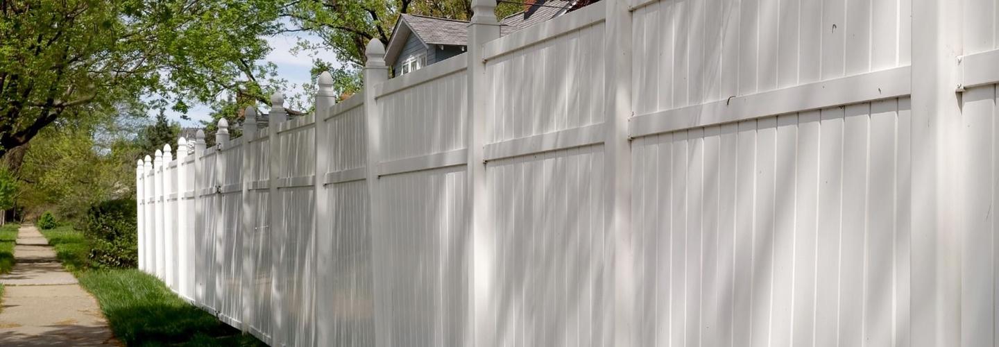 We Are The Guy Inc. cover photo