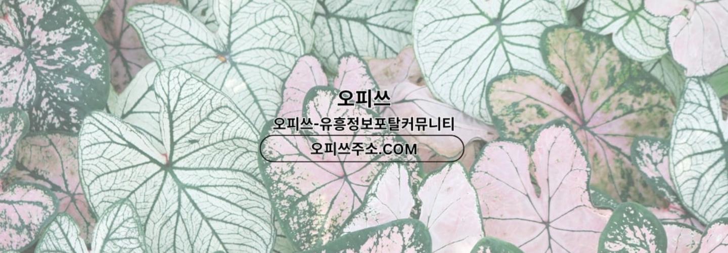 강북건마 오피.CLUB 강북마사지 cover photo