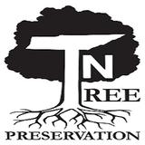 TN Tree Preservation - Tree Services in College Grove