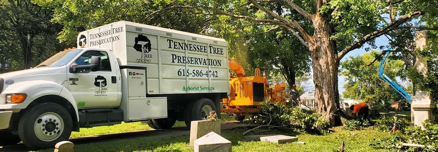 TN Tree Preservation cover photo