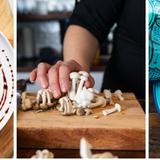 Wild Roots Culinary Healing LLC - Food Delivery Services in Bainbridge Island