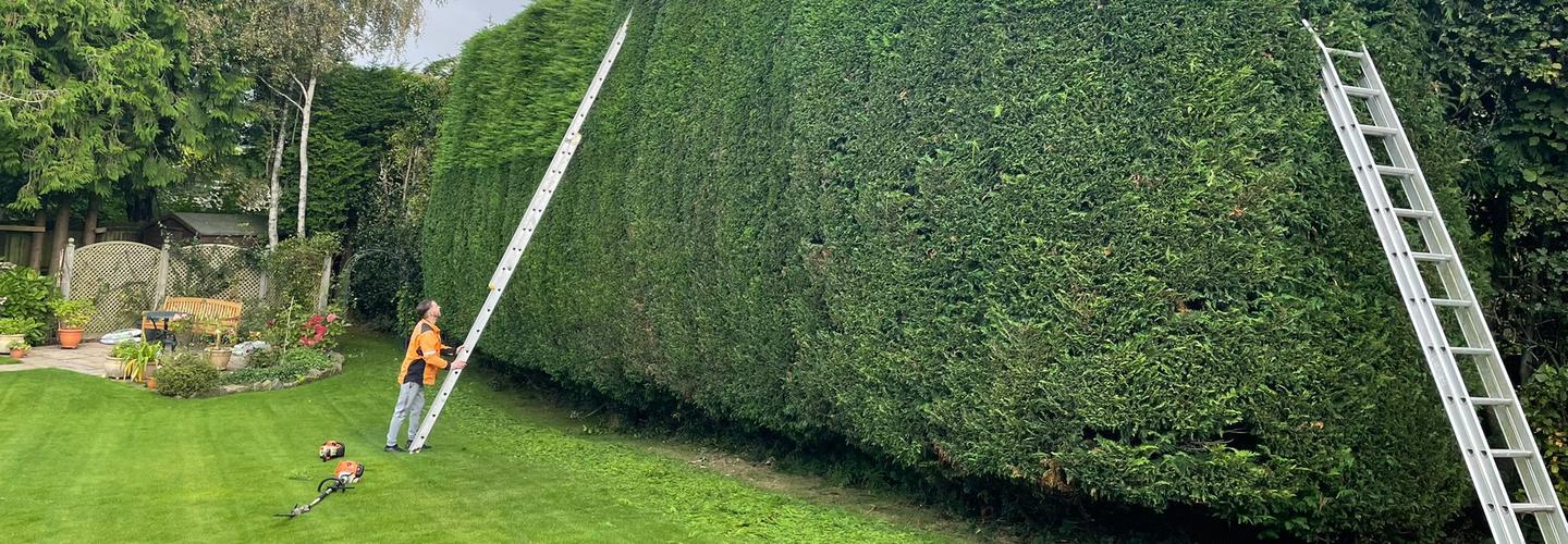 Landscapers Washington cover photo