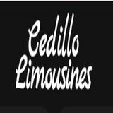 Cedillo Limousines - Party Bus Rentals in Buena Park