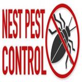 Nest Pest Services - Pest Control in Greenbelt