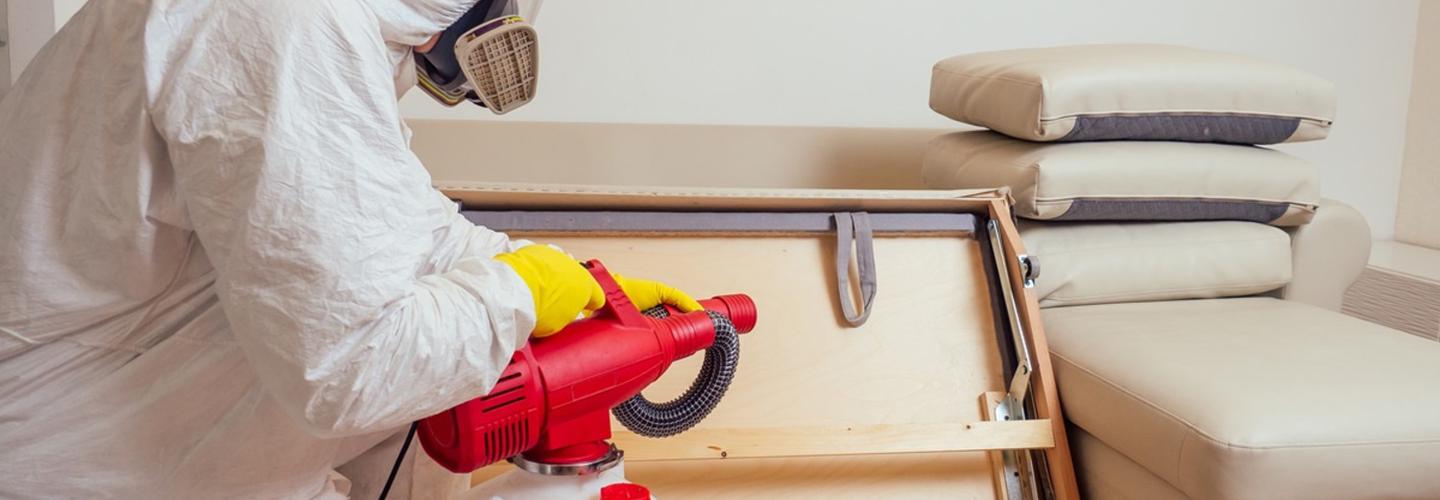 Nest Pest Services cover photo