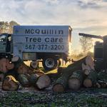 McQuillin Tree Care - photo 7