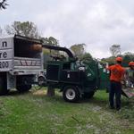 McQuillin Tree Care - photo 8
